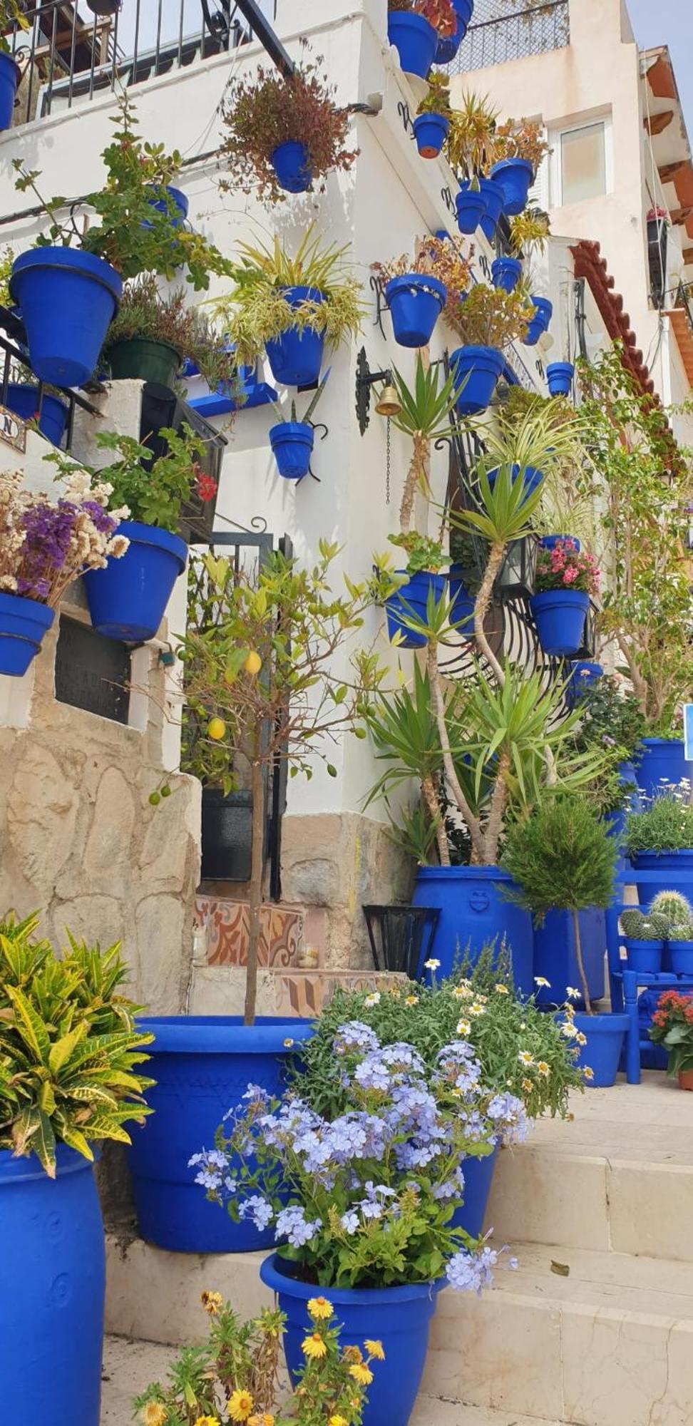 El Barrio Alicante , Playa Y Casco Antiguo 外观 照片